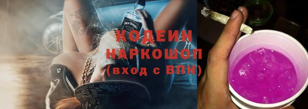 ECSTASY Алзамай