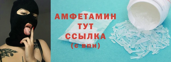 ECSTASY Алзамай