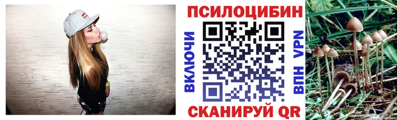 ссылка на мегу ТОР Невьянск Галлюциногенные грибы ЛСД
